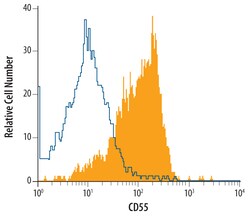 Invitrogen CD55 Polyclonal Antibody 100 &mu;g; Unconjugated:Antibodies,