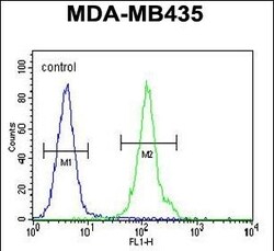 Invitrogen OR2L13 Polyclonal Antibody 400 &mu;L; Unconjugated:Antibodies,