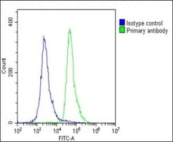 Invitrogen RAB12 Polyclonal Antibody 400 &mu;L | Buy Online | Invitrogen&trade; | Fisher Scientific
