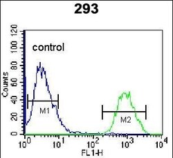 Invitrogen HOPX Polyclonal Antibody 400 &mu;L; Unconjugated:Antibodies,