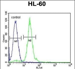 Invitrogen CPT1C Polyclonal Antibody 400 &mu;L; Unconjugated:Antibodies,