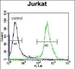 Invitrogen ZNF841 Polyclonal Antibody 400 &mu;L; Unconjugated:Antibodies,