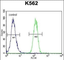 Invitrogen FOXI3 Polyclonal Antibody 400 &mu;L; Unconjugated:Antibodies,