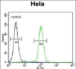 Invitrogen SIK3 Polyclonal Antibody 400 &mu;L; Unconjugated:Antibodies,