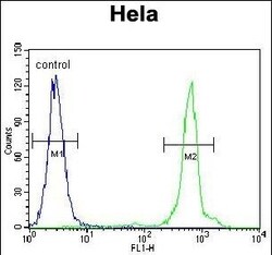 Invitrogen UQCRFS1 Polyclonal Antibody 400 &mu;L; Unconjugated:Antibodies,