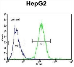 Invitrogen GFER Polyclonal Antibody 400 &mu;L; Unconjugated:Antibodies,