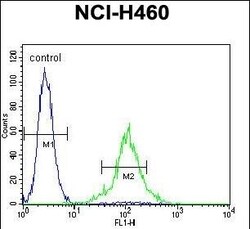 Invitrogen TMEM100 Polyclonal Antibody 400 &mu;L; Unconjugated:Antibodies,
