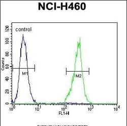 Invitrogen TRIM65 Polyclonal Antibody 400 &mu;L; Unconjugated:Antibodies,