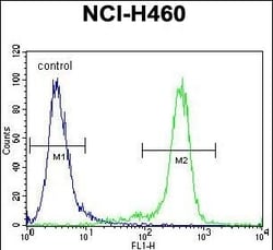 Invitrogen GAS1 Polyclonal Antibody 400 &mu;L; Unconjugated:Antibodies,