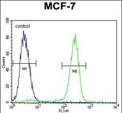 Invitrogen OTOP3 Polyclonal Antibody 400 &mu;L; Unconjugated:Antibodies,