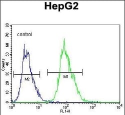 Invitrogen OR4K5 Polyclonal Antibody 400 &mu;L; Unconjugated:Antibodies,