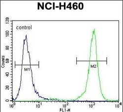 Invitrogen PCDHA9 Polyclonal Antibody 400 &mu;L; Unconjugated:Antibodies,