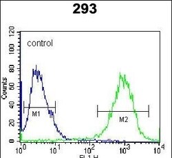 Invitrogen STX16 Polyclonal Antibody 400 μL; Unconjugated:Antibodies,