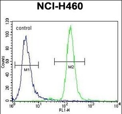 Invitrogen CCNYL3 Polyclonal Antibody 400 &mu;L; Unconjugated:Antibodies,