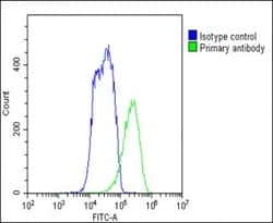 Invitrogen FADS2 Polyclonal Antibody 200 &mu;L; Unconjugated:Antibodies,