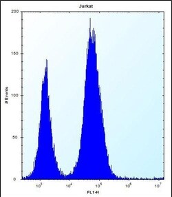 Invitrogen DULLARD Polyclonal Antibody 400 &mu;L; Unconjugated:Antibodies,