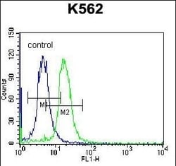 Invitrogen STARD5 Polyclonal Antibody 400 &mu;L; Unconjugated:Antibodies,