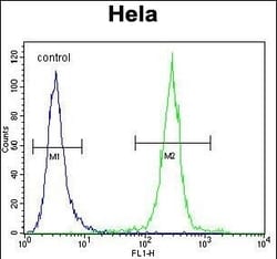 Invitrogen COCH Polyclonal Antibody 400 &mu;L; Unconjugated:Antibodies,