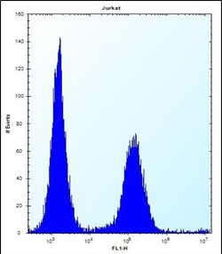 Invitrogen ENOX2 Polyclonal Antibody 400 &mu;L; Unconjugated:Antibodies,