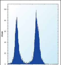Invitrogen SLC16A10 Polyclonal Antibody 400 &mu;L; Unconjugated:Antibodies,