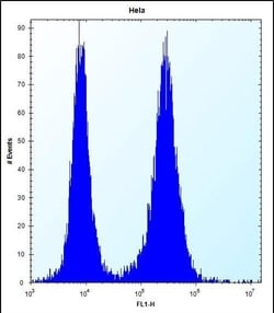 Invitrogen PHF5A Polyclonal Antibody 400 &mu;L; Unconjugated:Antibodies,