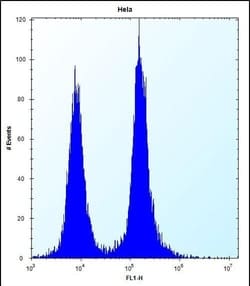 Invitrogen DEFB112 Polyclonal Antibody 400 &mu;L; Unconjugated:Antibodies,
