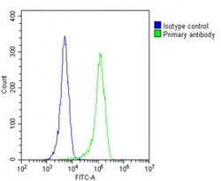 Invitrogen RAB28 Polyclonal Antibody 400 &mu;L; Unconjugated:Antibodies,