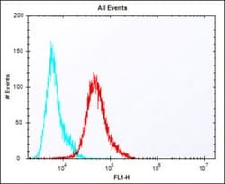 Invitrogen PBK Polyclonal Antibody 400 &mu;L; Unconjugated:Antibodies,