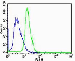 Invitrogen HTR1A Polyclonal Antibody 400 &mu;L; Unconjugated:Antibodies,