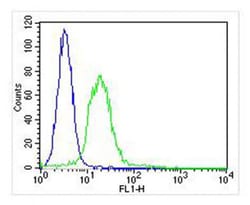 Invitrogen ITGA7 Polyclonal Antibody 400 &mu;L; Unconjugated:Antibodies,