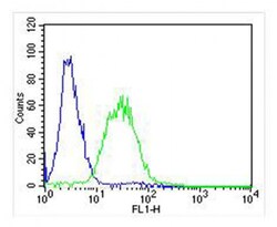 Invitrogen Adenylate Kinase 2 Polyclonal Antibody 200 &mu;L; Unconjugated:Antibodies,