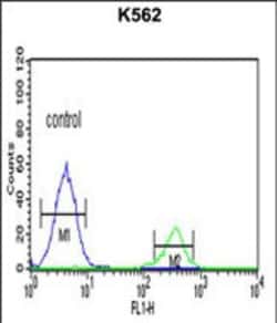 Invitrogen KIR3DS1 Polyclonal Antibody 400 &mu;L; Unconjugated:Antibodies,