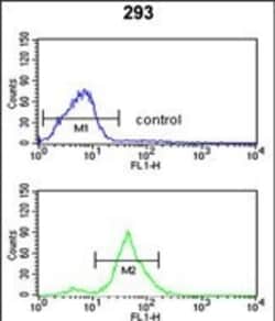 Invitrogen TSPAN12 Polyclonal Antibody 400 &mu;L; Unconjugated:Antibodies,