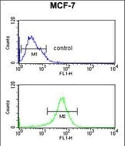 Invitrogen DIO2 Polyclonal Antibody 400 &mu;L; Unconjugated:Antibodies,
