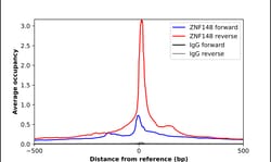 Invitrogen ZNF148 Polyclonal Antibody 100 &mu;L; Unconjugated:Antibodies,