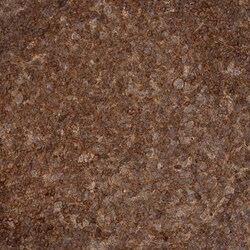 Invitrogen RNF157 Polyclonal Antibody 100 &mu;L; Unconjugated:Antibodies,