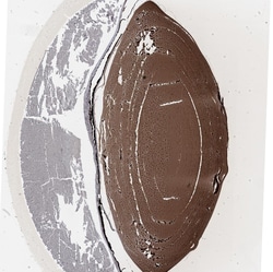 Invitrogen CRYGS Polyclonal Antibody 100 &mu;L; Unconjugated:Antibodies,