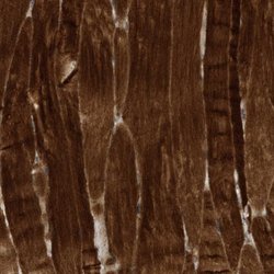 Invitrogen USP53 Polyclonal Antibody 100 &mu;L; Unconjugated:Antibodies,