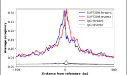 Invitrogen FAM48A Polyclonal Antibody 100 &mu;L; Unconjugated:Antibodies,
