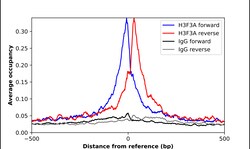 Invitrogen H3F3A Polyclonal Antibody 100 &mu;L | Buy Online | Invitrogen&trade; | Fisher Scientific