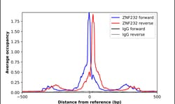 Invitrogen ZNF232 Polyclonal Antibody 100 &mu;L; Unconjugated:Antibodies,