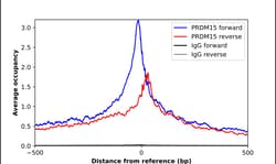 Invitrogen PRDM15 Polyclonal Antibody 100 &mu;L; Unconjugated:Antibodies,