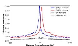 Invitrogen ZNF34 Polyclonal Antibody 100 &mu;L; Unconjugated:Antibodies,