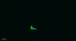 Invitrogen COL17A1 Polyclonal Antibody 100 &mu;L; Unconjugated:Antibodies,