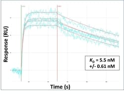 Invitrogen PAX7 Polyclonal Antibody 100 &mu;L | Buy Online | Invitrogen&trade; | Fisher Scientific