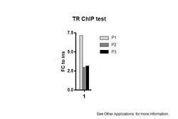 Invitrogen&trade;&nbsp;THRB Polyclonal Antibody