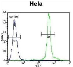 Invitrogen ASXL1 Polyclonal Antibody 400 &mu;L; Unconjugated:Antibodies,