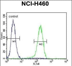 Invitrogen PRAMEF6 Polyclonal Antibody 400 &mu;L; Unconjugated:Antibodies,