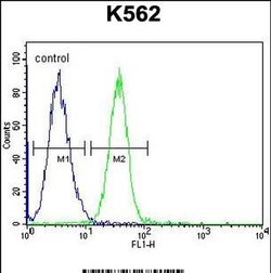 SERPINB4 Rabbit anti-Human, Polyclonal, Invitrogen 400 &mu;L; Unconjugated:Antibodies,