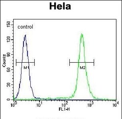 Invitrogen MIC-1 Polyclonal Antibody 400 &mu;L; Unconjugated:Antibodies,